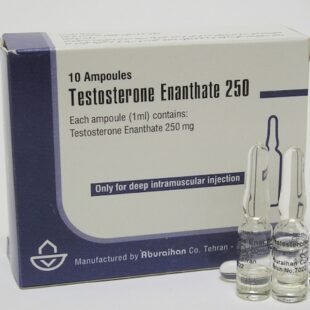 Testo E Aburaihan Iran