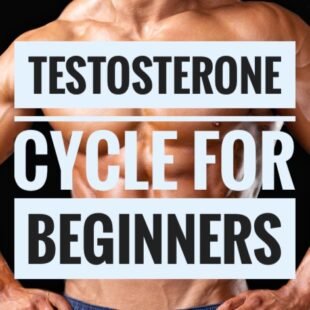 Beginners Steroid Cycle 2