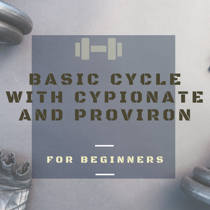 Beginners Steroid Cycle 1