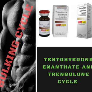 Intermediate Bulking Cycle 1